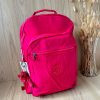 Rosa Pink